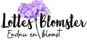 Lottes Blomster - Endnu en blomst