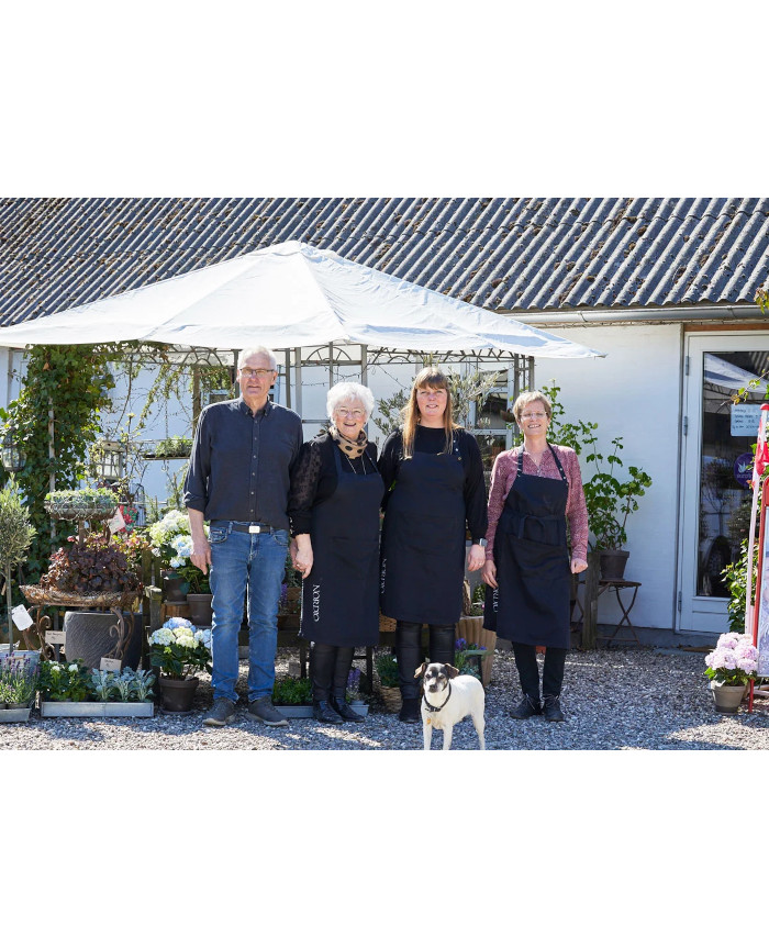 Køb buketter hos Lottes Blomster ved Nyborg